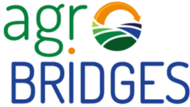 Logotipo Agro Bridges